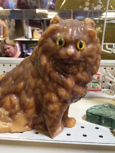 Burning nightmare cat! Buy it for only $3.93!