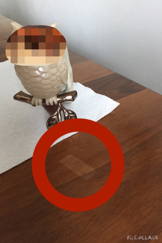 Owl faces blurred to protect the potentially innocent.